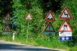 funny-picture-6646