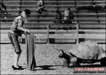 funny-picture-5595