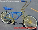 funny-picture-6304