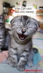 funny-picture-6282