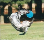 funny-picture-5896