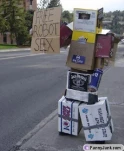 funny-picture-5990