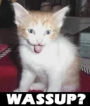 funny-picture-6674