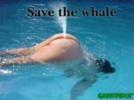 funny-picture-6633