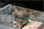 funny-picture-6432