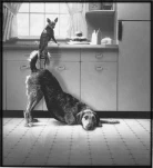 funny-picture-5682