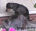 funny-picture-6504
