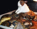 funny-picture-5643