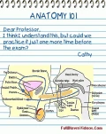 funny-picture-6777