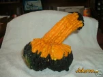 funny-picture-6850