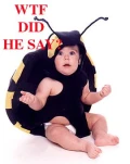 funny-picture-6359