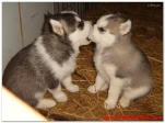 funny-picture-6192