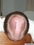 funny-picture-5570