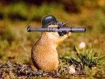 funny-picture-6882