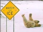 funny-picture-6785