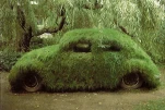 funny-picture-6801
