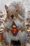 funny-picture-6684