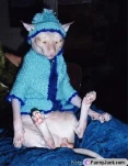 funny-picture-6866