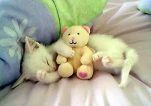 funny-picture-5737