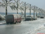 funny-picture-5578