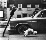 funny-picture-6595