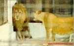funny-picture-6160