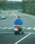 funny-picture-6120