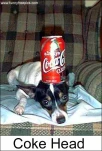 funny-picture-6292