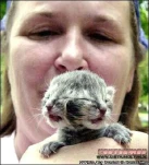 funny-picture-5787