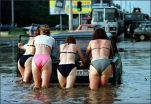 funny-picture-6448