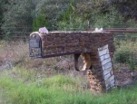 funny-picture-6044