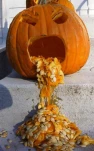 funny-picture-6589