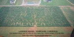 funny-picture-5678