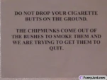 funny-picture-6299