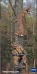 funny-picture-5409