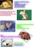 funny-picture-5883
