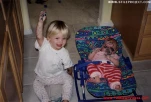 funny-picture-6549