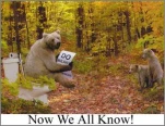 funny-picture-6498