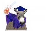 funny-picture-5996