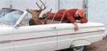 funny-picture-6926