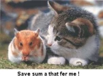 SAVESOME