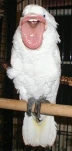 funny-picture-6341