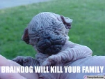 funny-picture-6697