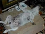 funny-picture-6742