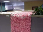 funny-picture-6527