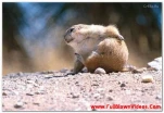 funny-picture-5427