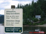 funny-picture-5763