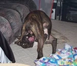 funny-picture-6565