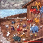funny-picture-5529