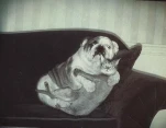 funny-picture-6490